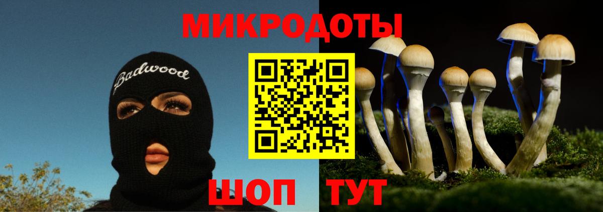 Обь  Псилоцибиновые грибы Magic Shrooms  Вход с VPN 